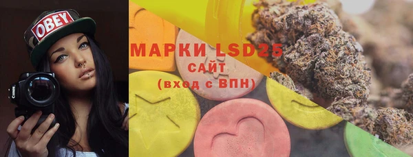 индика Абаза