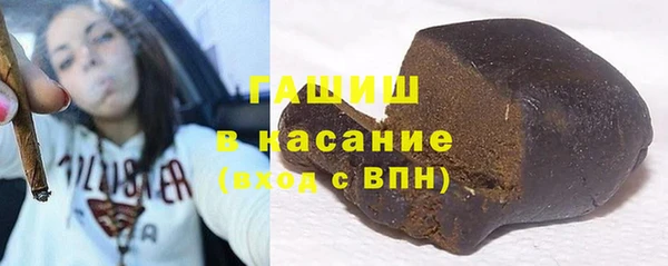 индика Абаза