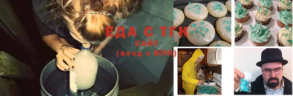 индика Абаза