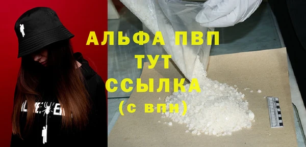 индика Абаза