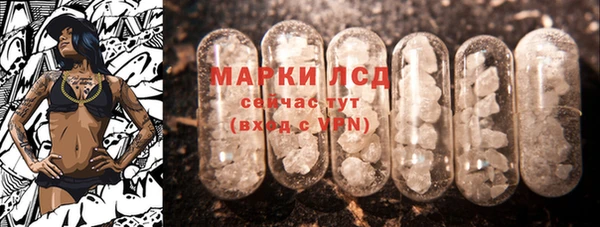 индика Абаза