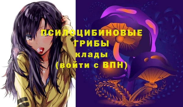 индика Абаза