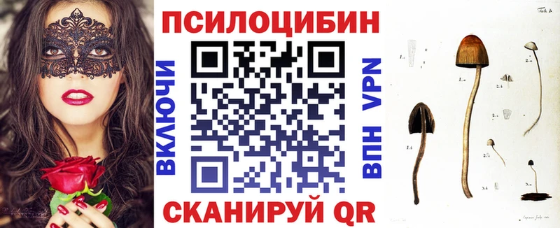 дарнет шоп Тюкалинск Псилоцибиновые грибы MAGIC MUSHROOMS